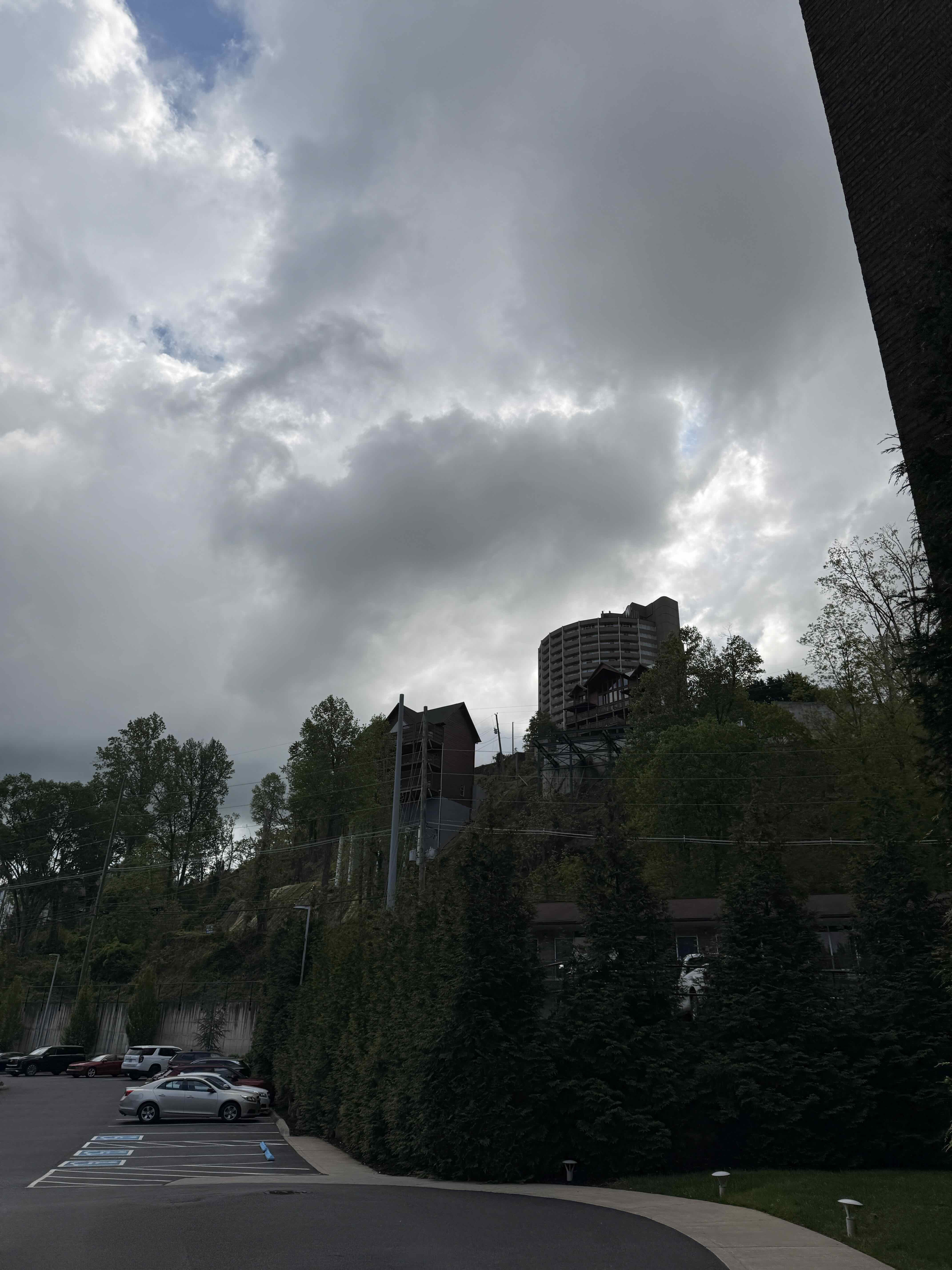 Photo 46